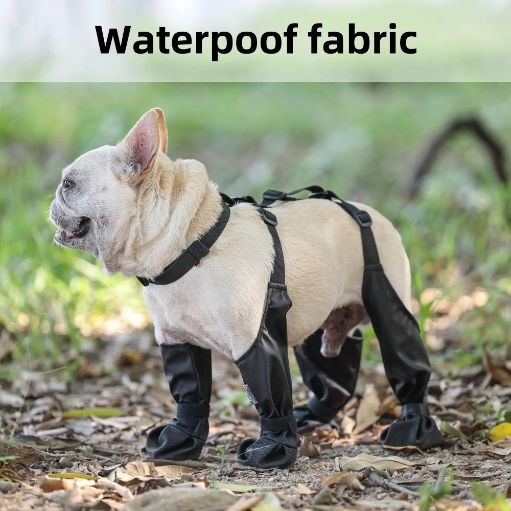 المضادة للسقوط مقاوم للماء حذا - مراجعة Dog Booties Paw Protector وسعره
