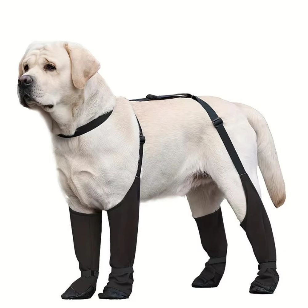 المضادة للسقوط مقاوم للماء حذا - مراجعة Dog Booties Paw Protector وسعره