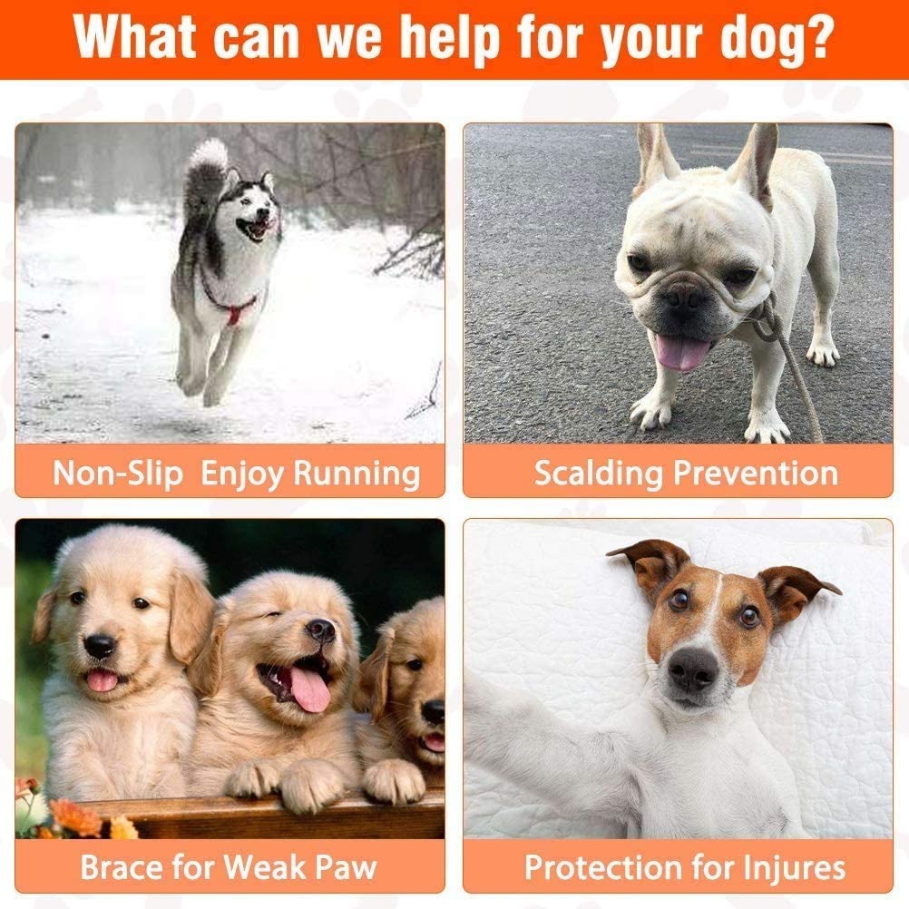24 قطعة الكلب باو حامي مكافحة  - مراجعة Dog Booties Paw Protector وسعره