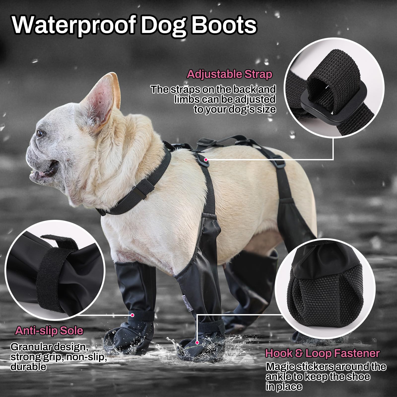 أحذية الحمالات للكلاب أحذية ال - مراجعة Dog Booties Paw Protector وسعره