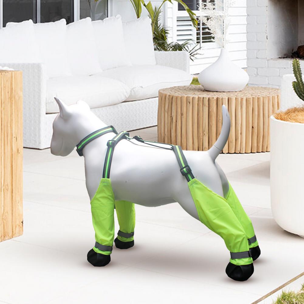 أحذية واقية للكلاب مضادة للانز - مراجعة Dog Booties Paw Protector وسعره