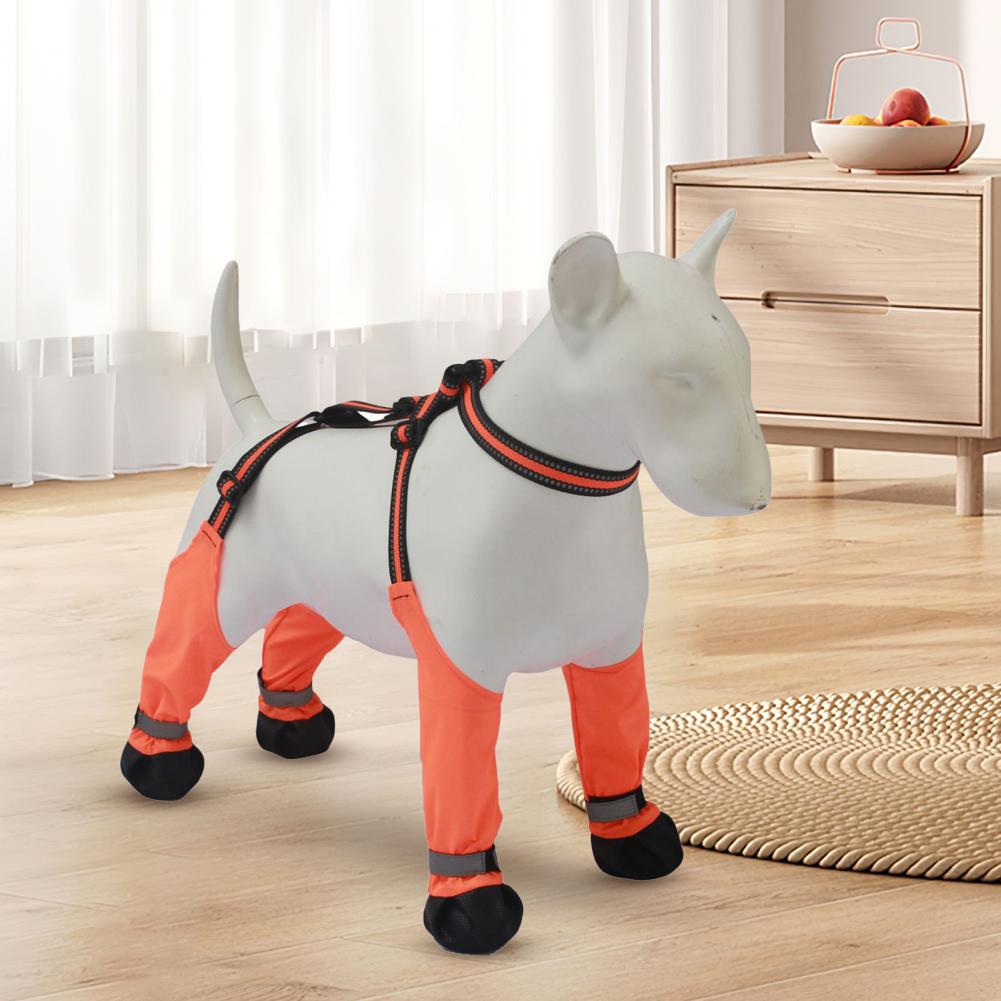 أحذية واقية للكلاب مضادة للانز - مراجعة Dog Booties Paw Protector وسعره