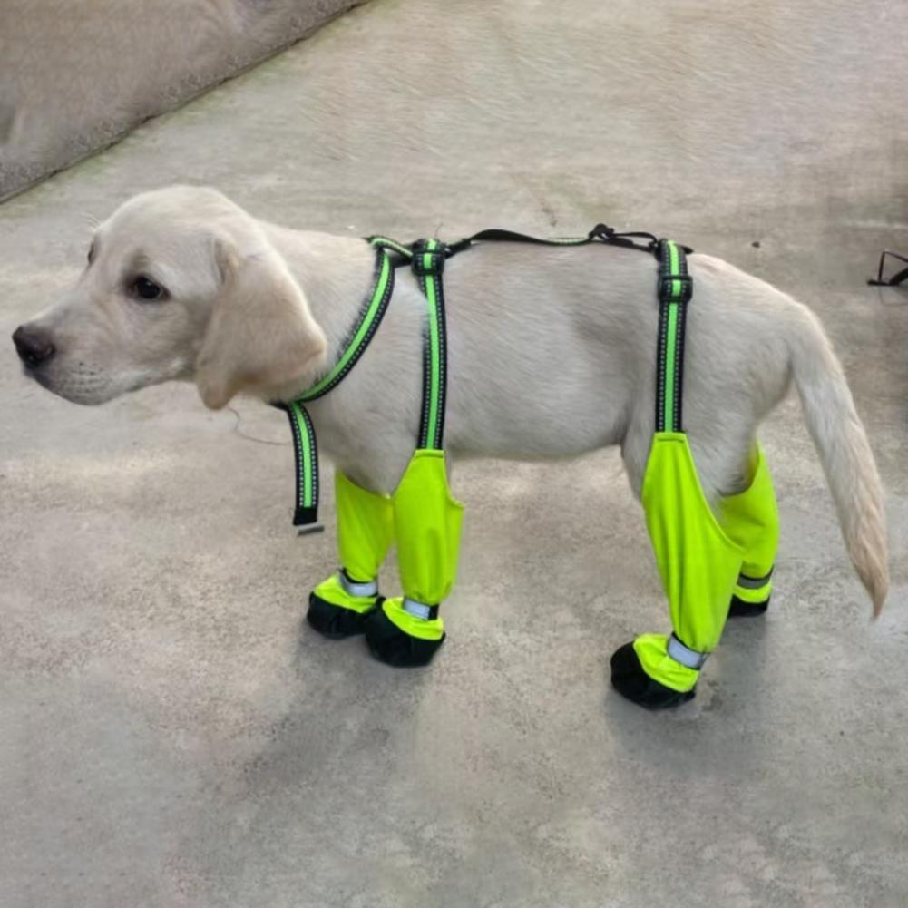 أحذية واقية للكلاب مضادة للانز - مراجعة Dog Booties Paw Protector وسعره