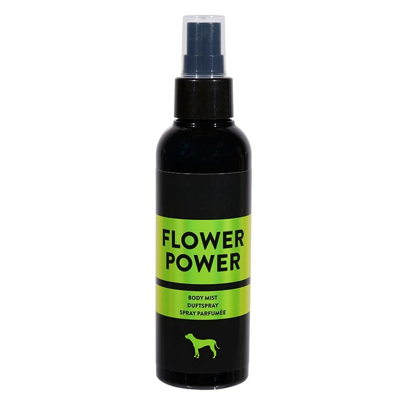 بخاخ كولونيا مزيل للروائح الكر - مراجعة Pet Cologne Spray وسعره