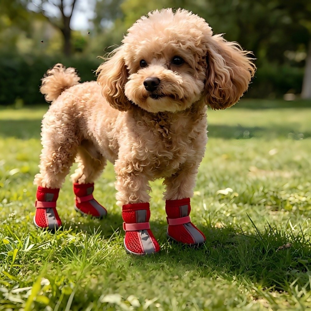 4 قطع/مجموعة أحذية كلاب متينة  - مراجعة Dog Booties Paw Protector وسعره