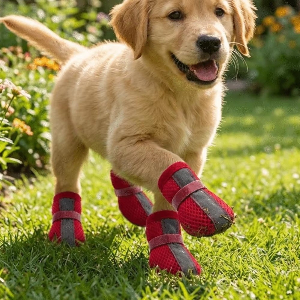 4 قطع/مجموعة أحذية كلاب متينة  - مراجعة Dog Booties Paw Protector وسعره