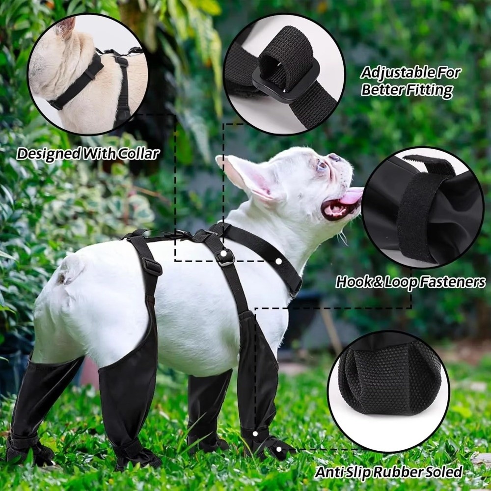 المضادة للسقوط مقاوم للماء أحذ - مراجعة Dog Booties Paw Protector وسعره