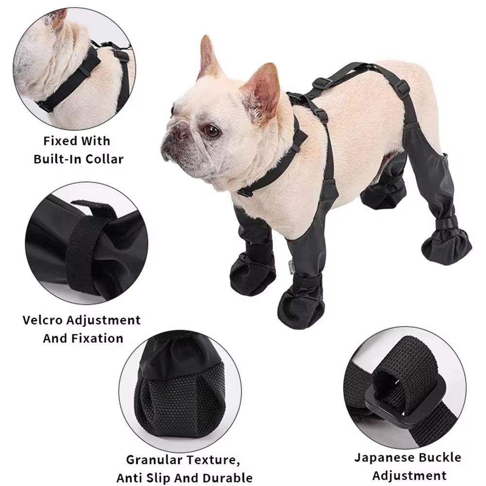 المضادة للسقوط مقاوم للماء أحذ - مراجعة Dog Booties Paw Protector وسعره