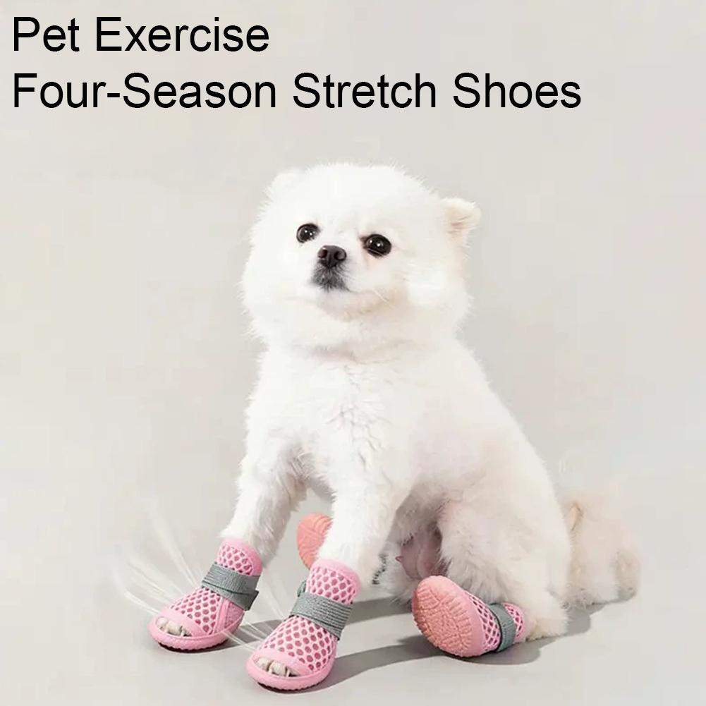 أحذية صيفية للكلاب قابلة للتنف - مراجعة Dog Booties Paw Protector وسعره