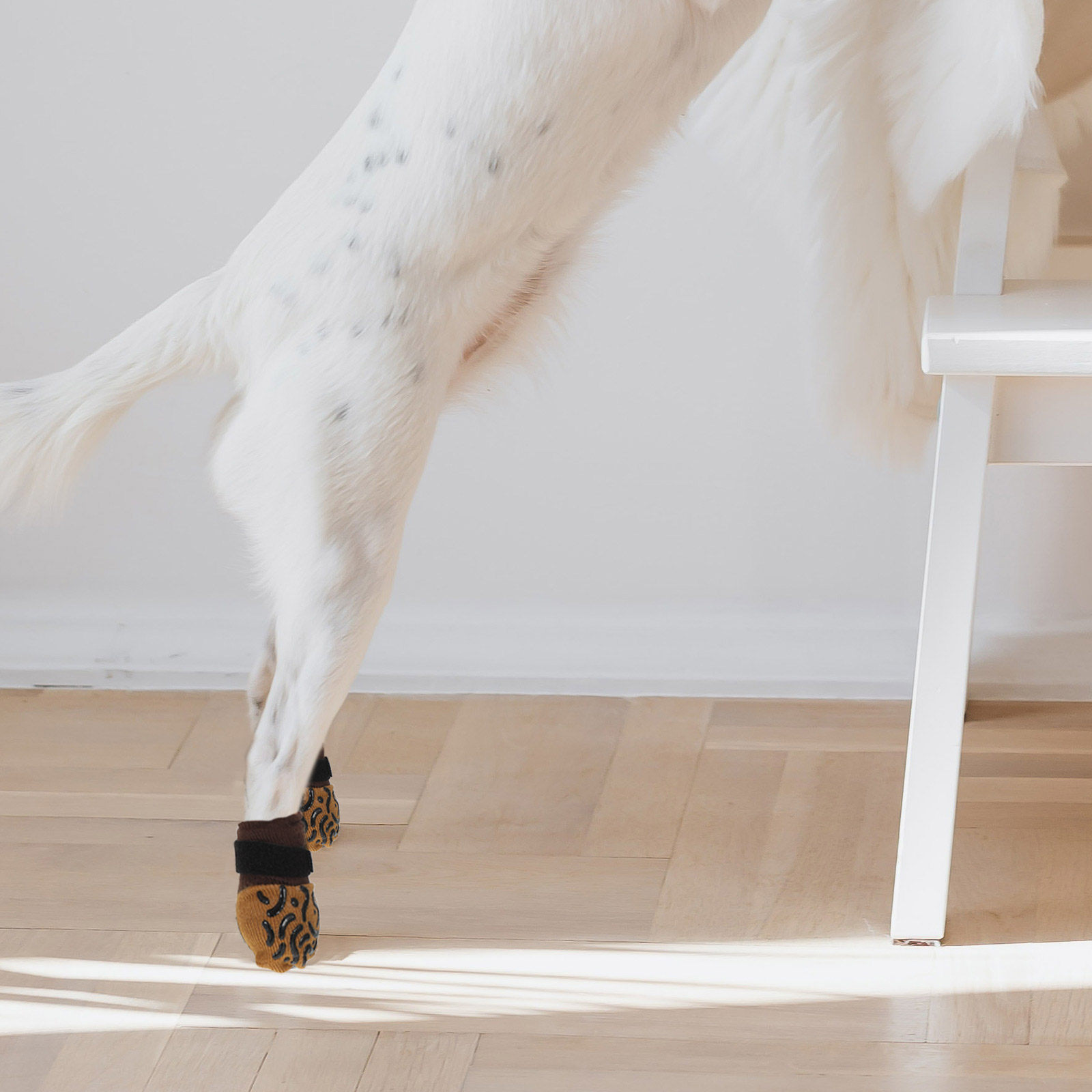 4 قطع من جوارب الكلاب المضادة  - مراجعة Dog Booties Paw Protector وسعره